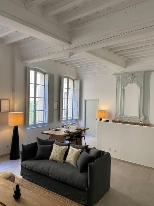 Appartement Avec Ventilateurs Proche Du Palais Des Papes Avignon Ngoại thất bức ảnh